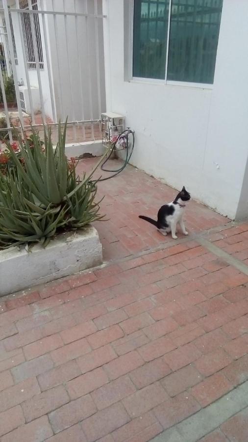 Muy Economico En Casa Completa Cerca Al Terminal De Buses, Visite Santa Marta Sin Invertir Grandes Sumas En Alojamiento Hébergement de vacances *